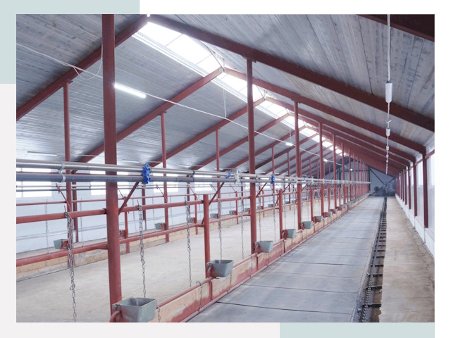 Строительство коровников в Амурске от 620 руб.