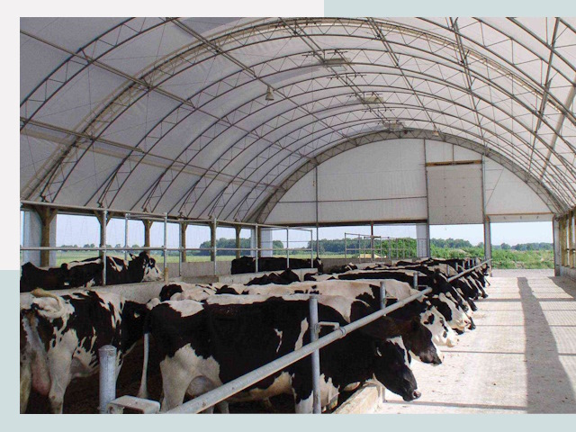 Тентовые коровники в Амурске